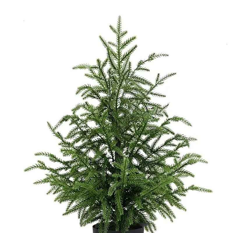 Norfolk Pine Christmas Tree